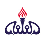 شرکت پتروشیمی فن آوران